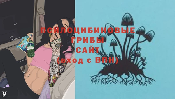 марки lsd Алексеевка