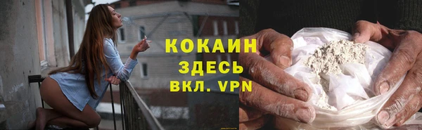 прущий лед Алзамай