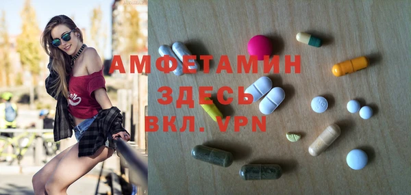 ешки Алексин