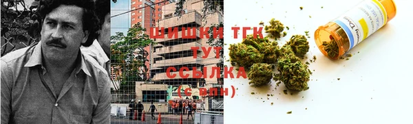 прущий лед Алзамай